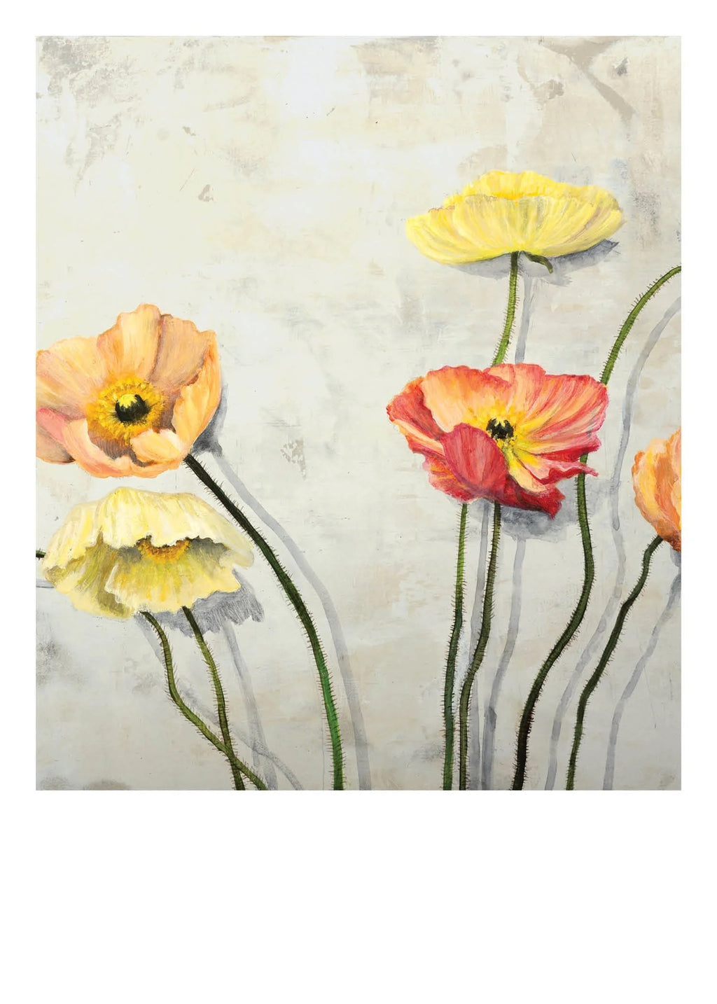Card Set: 10 5x7 Cards with Display Stand