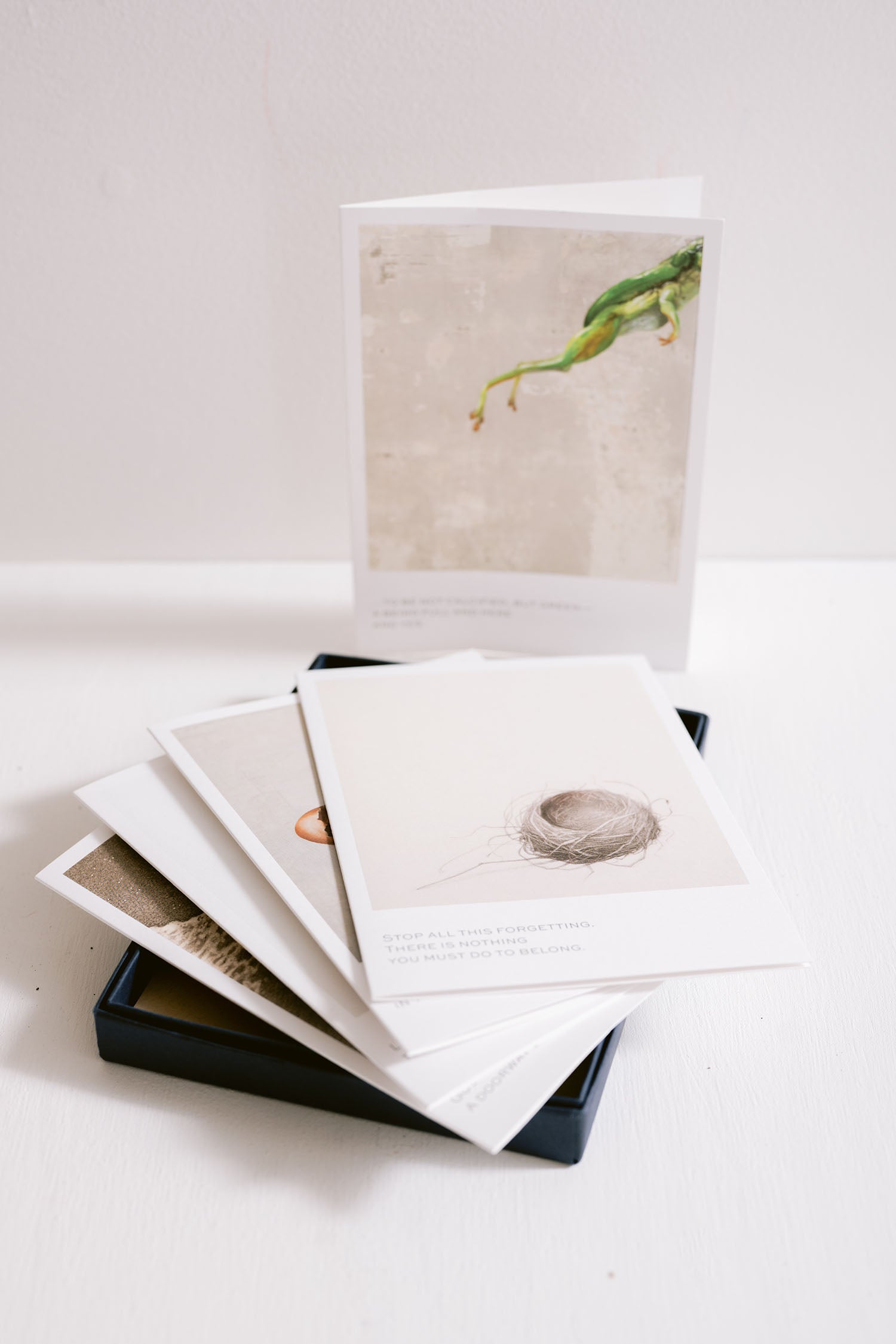 Greeting Card Box Set