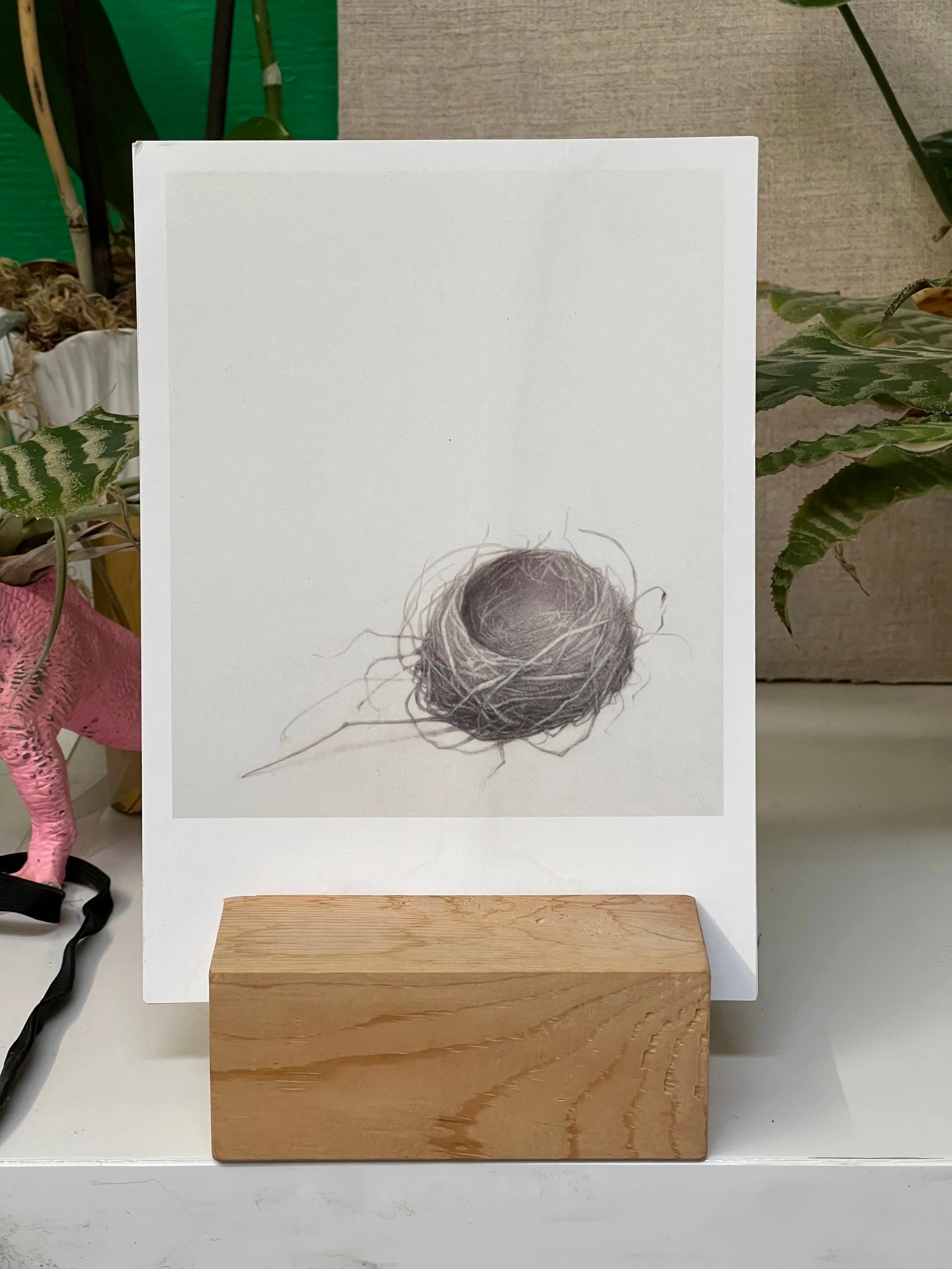 Gift Bundle: Book + 10-Card Gift Set